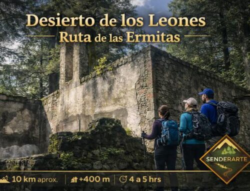Ruta Desierto de los Leones  · Entre Bosque y Ermitas